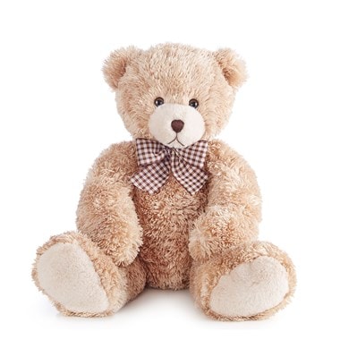 Lots of love bear